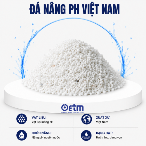 Đá nâng pH Việt Nam